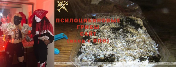 PSILOCYBIN Алексин