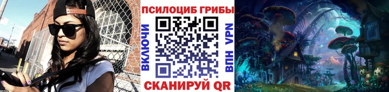 Галлюциногенные грибы Magic Shrooms  где найти наркотики  Чайковский 